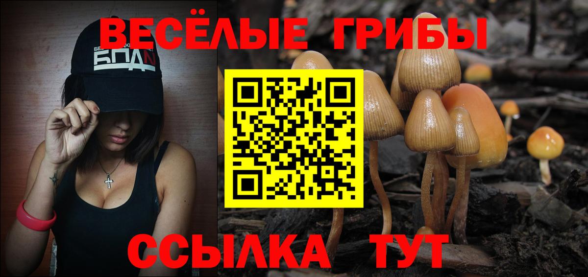 Галлюциногенные грибы MAGIC MUSHROOMS Владикавказ